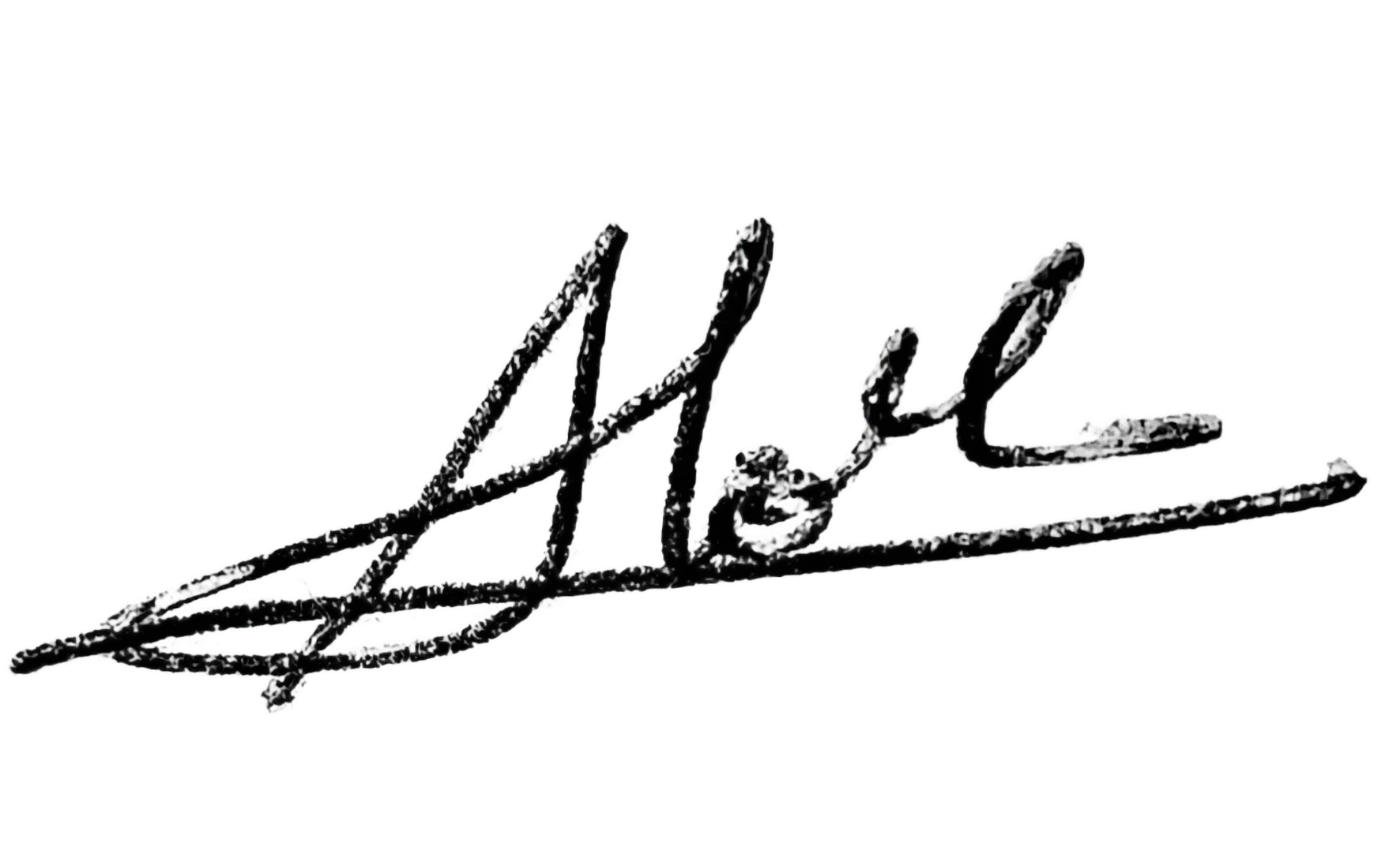Alok Signature Logo